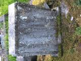 image of grave number 676716